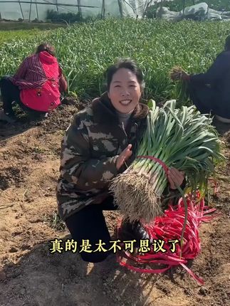 原来用种子种蒜苗也这么简单#蒜苗种子 #种蒜苗 #蒜苗 #阳台种植 #种菜