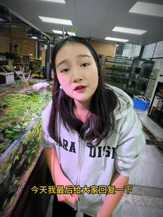 养鱼先养水,水好鱼活跃#养鱼日记 #水族 #养鱼人 #鱼缸 #养鱼养心