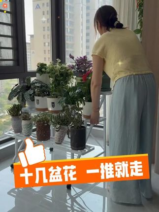 花越养越多,家里客厅阳台是不是都要放不下了,这铁艺花架一次性能容纳十几二十盆花,花越养越好了,打扫也更简单了
