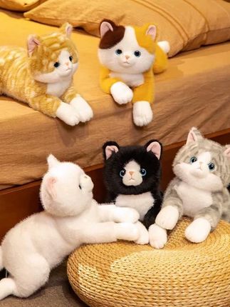 仿真猫公仔可爱猫咪公仔趴款仿真猫玩偶#萌娃搭配 #毛绒玩具 #好物推荐🔥 #也太可爱了吧 #玩偶