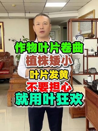 作物叶片卷曲,叶片发黄,不要担心 #三农种植