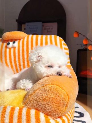 猫狗通用可拆洗窝冬天加厚豪华狗窝保暖猫窝室内防寒狗窝冬季保暖 #萌宠好物狗窝#  猫窝