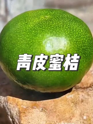 #蜜橘 #超便宜超划算 #产地直发 #大人孩子都爱吃 #口感好