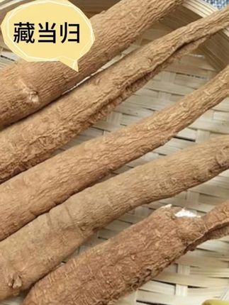 精选藏当归炖汤炖鸡煮水煮鸡蛋炖猪蹄炖排骨佳品 #藏当归 #当归 #炖汤炖鸡煮水