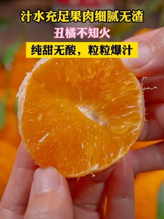 #丑橘 #果园直发 #现摘现发新鲜到家 #新鲜采摘 #应季水果