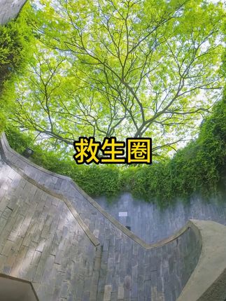 #儿童玩具 #儿童益智 #我的世界 #有趣 #新奇好物