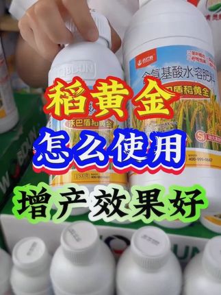 沃巴盾稻黄金氨基酸水溶肥料水稻专用增产茎秆粗壮籽粒饱满 水稻增产叶面肥稻黄金怎么使用产量高?#稻黄金 #水稻增产 #水稻高产 #水稻叶面肥