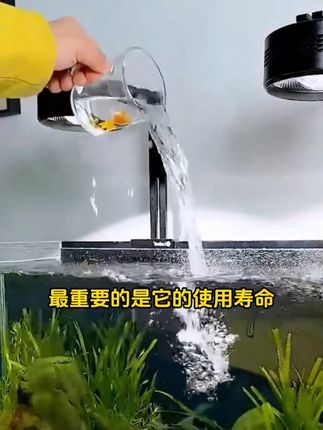 让你不用换水鱼缸也能保持清澈透亮 #水族用品#观赏鱼#养鱼日记#鱼缸造景#鱼缸里的大自然
