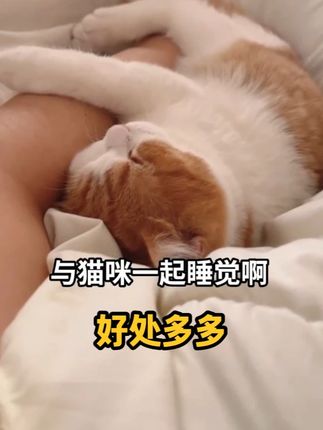 人和猫咪一起睡觉啊,不但不脏,而且还有这三个好处 #萌宠好物 #科学养宠攻略 #和猫一起睡 #猫驱虫 #养猫生活