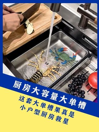 这套大单槽果真是 小户型厨房救星 #厨房好物 #家居必备好物 #家居用品 #家务好帮手 #厨房水槽