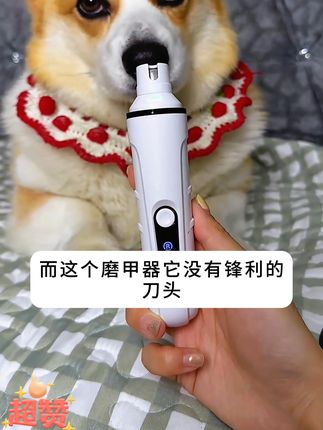 新手铲屎官也可以轻松上手的磨甲器,好用方便,毛孩子不抗拒!#磨甲器 #萌宠好物 #养狗必备 #狗狗指甲剪