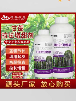 甘蔗根茎增甜剂甘蔗根茎专用肥拉直甘蔗根茎种植技术与施肥地下 他的出现必将震惊整个甘蔗圈#甘蔗 甘蔗种植#甘蔗种植技术