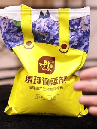 家里养绣球花怎么让它开蓝色花?
