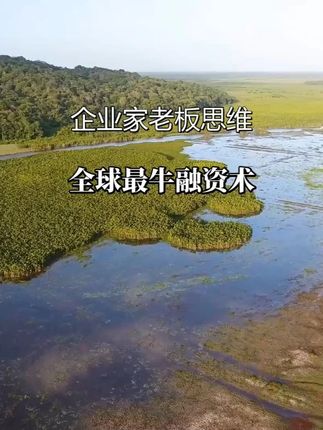 揭秘“万能协议融资法”,告诉你如何“空手套白狼”,不花一分钱成本,就能拿到大笔资金!#资本运作 #资本运作大揭秘 #商业思维 #商业思维 #好书分享