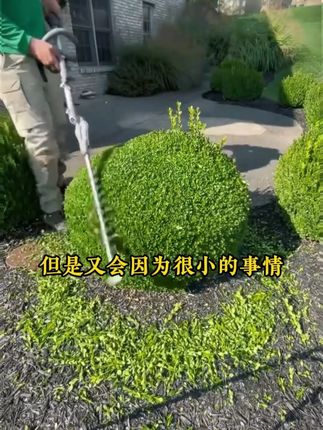 家长一定要读读这本《父母越松弛孩子越强大》,学会育儿的正确方法,孩子会越来越感恩!#育儿 #家庭教育 #家长必读