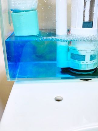 我家三口人,一个马桶,用了两个月多一点 确实冲水颜色稳定,连续充不断色!好用!!!#洁厕宝 #洁厕剂 #洁厕灵