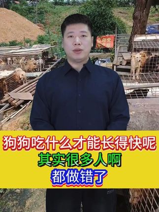 狗狗吃什么才能长得快呢 其实很多人啊 都做错了#狗狗增重#狗狗增重增肥#狗狗增肥增重