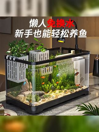 阔庭鱼缸小型客厅新款造景生态缸过滤鱼缸造景制氧一体机底滤氧气 #鱼缸里的大自然 #鱼缸 #水培篮 #鱼缸造景 #养鱼