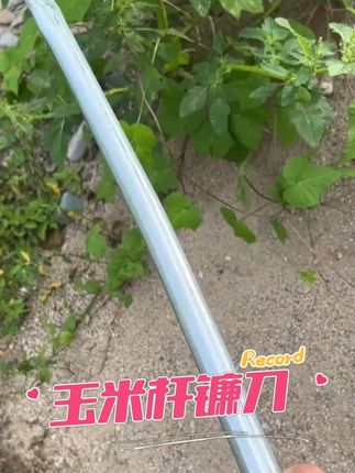 【买一送一】玉米镰刀割草刀收割玉米杆家用户外农用园林工具天#好物推荐🔥