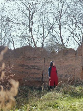 感悟心理学完颜慧德