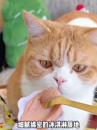 宠物猫咪猫条逗猫补充营养增进感情 #猫条 #猫零食 #吃货猫   #养猫新手