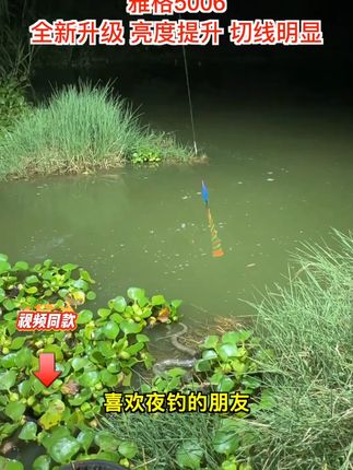 夜间钓鱼的利器#夜钓灯钓鱼专用 #钓鱼 #头灯 #户外 #夜钓 L