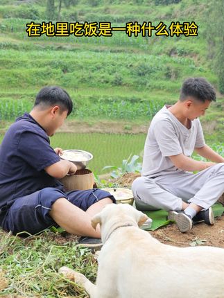 胖松松和瘦二毛