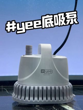这个价的底吸泵居然这么好用?! #养鱼 #养鱼日记 #水族 #水族器材 #空气缸