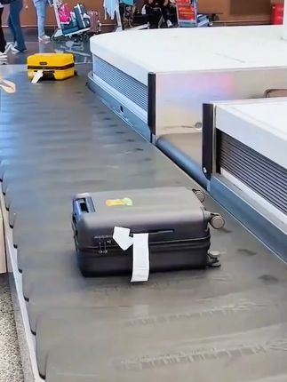 出差旅游在行李箱上挂一个这个小玩意! #吊牌 荧光的很醒目,人群中一眼就能看到