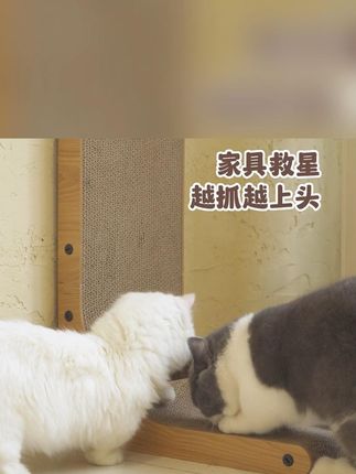 达人推荐!福丸L型猫抓板,耐磨不掉屑超耐用! #耐磨猫抓板 #L型猫抓板 #猫抓板玩具 #福丸猫抓板 #不掉屑猫抓板