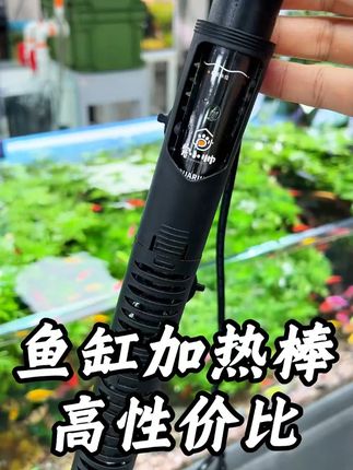 秋天到了气温波动,鱼缸加热棒一定要用上了,避免温差导致小鱼不健康,这个加热棒性价比高还安全,还送温度计!#加热棒 #鱼缸加热棒 #养鱼日记 #新手养鱼
