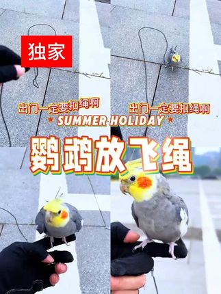 #夏季新款 #面料柔软舒适 #显瘦穿搭 #今天穿什么 #小个子穿搭
