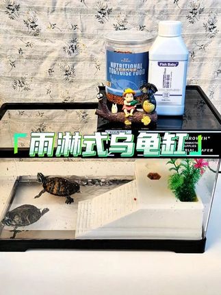 新手养龟总是每天换水,试试这款雨淋式乌龟缸,分区养殖更省心省力哦#龟宠 #龟宠时代 #乌龟缸 #龟龟🐢 #雨淋式