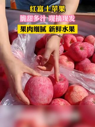 陕西洛川的红富士苹果真的是又脆又甜,每个个头都很大,皮很薄,果肉非常细腻,吃起来汁水很多,脆脆甜甜的,家里大人小孩都可以多吃点。#洛川苹果 #脆甜多汁 #优质农产品 #苹果 #水果
