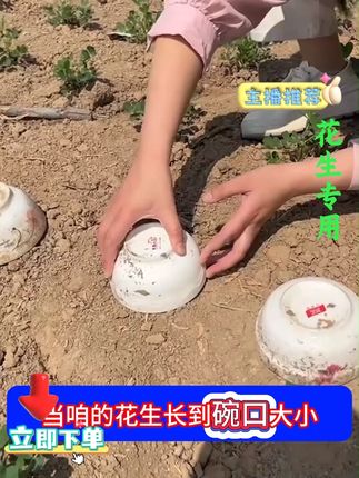 #农业种植 #三农