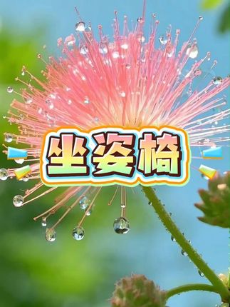 #坐姿椅 #靠椅 #矫正椅 #坐姿矫正器 #靠垫椅