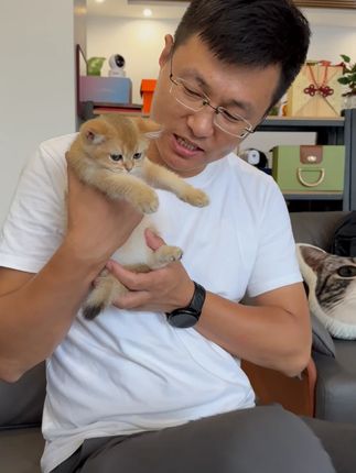 猫咪温和排毛计划:每天吃两三粒乐肯猫草粒省心又省钱#萌宠出道计划#科学养宠攻略#猫粮#萌宠好物