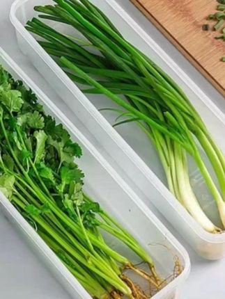 香菜小葱放冰箱蔫得快、面条鸡蛋没处放?这款加厚保鲜盒太实用!分格设计超能装,装香菜小葱不串味,放面条鸡蛋不压碎,备菜也能提前装盒超方便~加厚材质耐摔,密封盖锁鲜防潮,冰箱瞬间整齐!平时买几个单盒超贵,今天这个组合价,厨房党囤它,食材再也不浪费! #冰箱收纳神器 #食材保鲜盒 #家用密封盒 #厨房备菜神器 #小葱香菜收纳