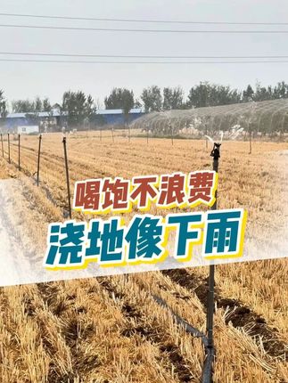 浇地像下雨?微喷头让作物“喝饱不浪费” #农业机械 #智慧农业 #灌溉农田 #喷头 #三农