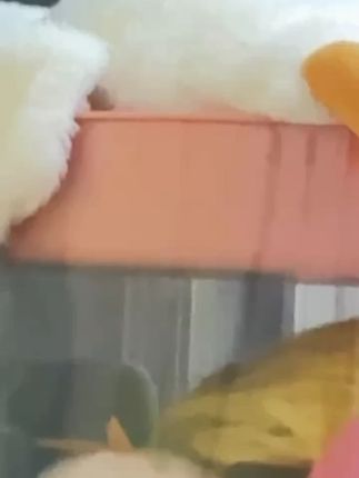 我本来也不缺垃圾袋的,可它是免手撕的,用一个抽一个,真的很方 我本来也不缺垃圾袋的,可它是免手撕的,用一个抽一个,真的很方便,关键还是加大加厚的,家里大小垃圾桶都很合适#垃圾袋 #免撕垃圾袋 #在抖音上入手的好东西#超便宜超划算
