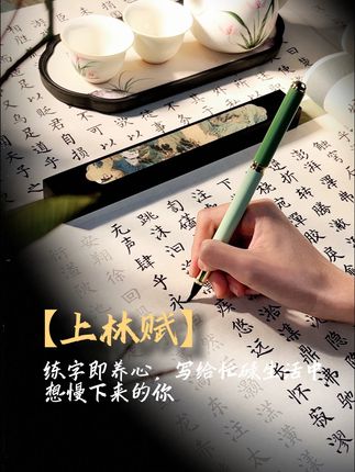 《上林赋》全文2691字,一字不落地写完,就是我的仪式感 #上林赋全文 #书法 #练字 #字帖 #六品堂官方旗舰店