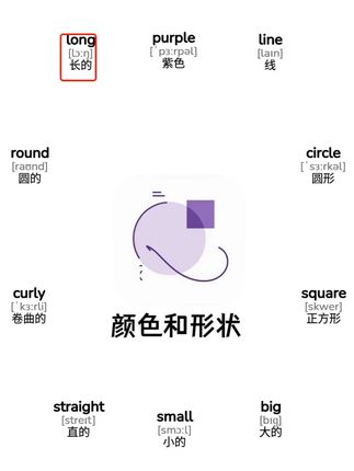 颜色和形状分类背诵 #小学 #背单词