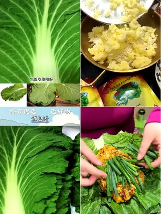 东北吉林饭包叶白菜叶10片 20片送酱 500g 顺丰空运泡沫冰袋保鲜 #蔬菜叶 #饭包叶 #饭包白菜叶 #妈呀太香啦 #东北大饭包