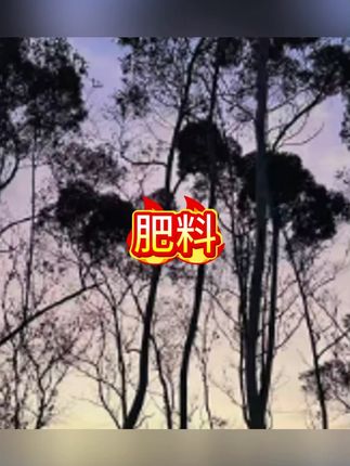 复合肥料花卉绿植盆栽微生物有机肥颗粒缓释肥料#肥料 #肥料厂家 #肥料新知识 #肥料知识 #绿植花卉