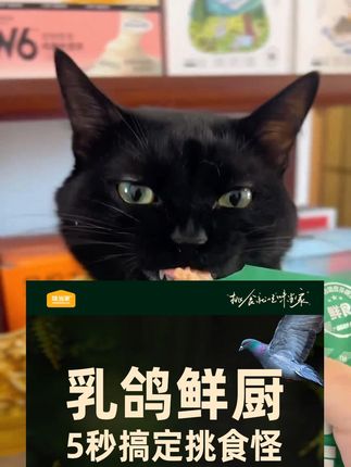 天热不爱吃干粮就吃这个湿猫饭吧 #主食猫饭# 萌宠好物 #天热不爱吃干粮就吃这个湿