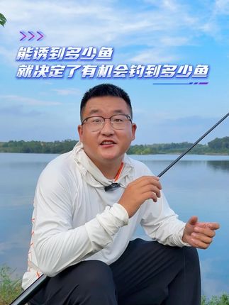 能诱到多少鱼, 就决定了有机会钓到多少鱼 #钓鱼 #钓鱼技巧 #抖音钓鱼季
