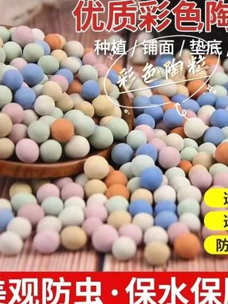 在花盆旁边铺上一层彩色陶粒,不仅美观浇水还不会溅得到处都是,又能防尘防虫#花卉绿植 #室内盆栽 #彩色陶粒