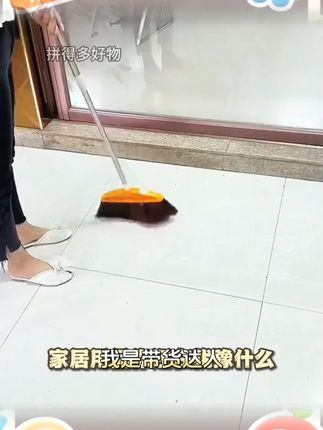 扫把家用扫帚不粘头发组合套长柄不弯腰捎把大号加大簸箕笤帚单个
