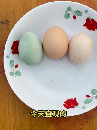 农村散养土鸡蛋,不打激素不吃饲料,全部都是走地鸡下的鸡蛋, #生态散养土鸡 #农村土鸡蛋 #生态三农 #散养 #鸡蛋
