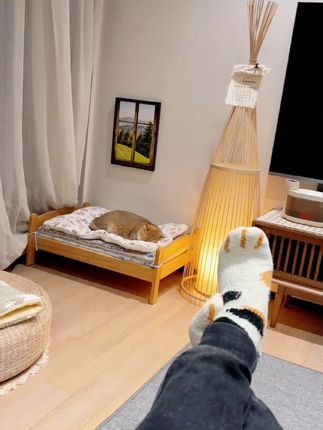 实用的宠物双面绒垫子 铺在哪哪里就是猫窝,小猫小狗可喜欢了 #猫窝 #狗窝 #宠物毛毯 zmt